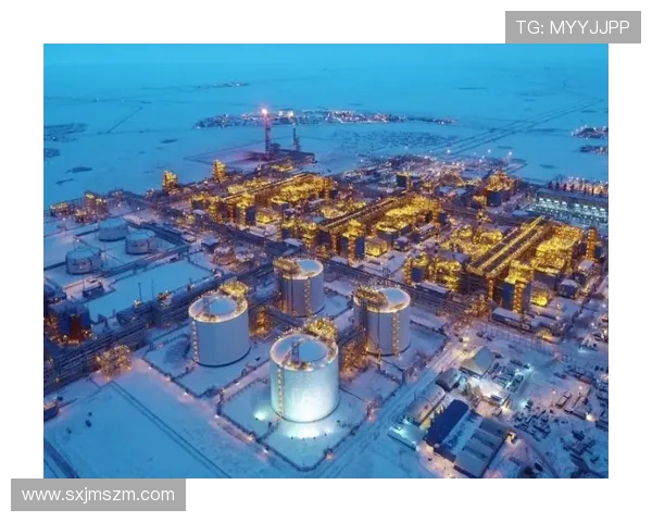 亚马尔地区的能源开发与国际合作前景分析与展望